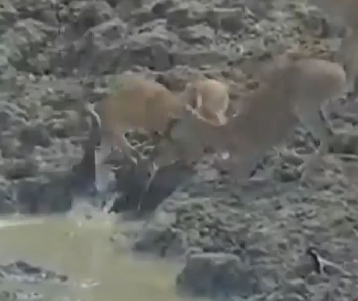 ӡ��������ʩ����������Ǳ����ˮ�ӵײ���ɱ����ˮ��С¹