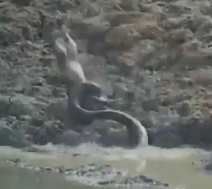 ӡ��������ʩ����������Ǳ����ˮ�ӵײ���ɱ����ˮ��С¹