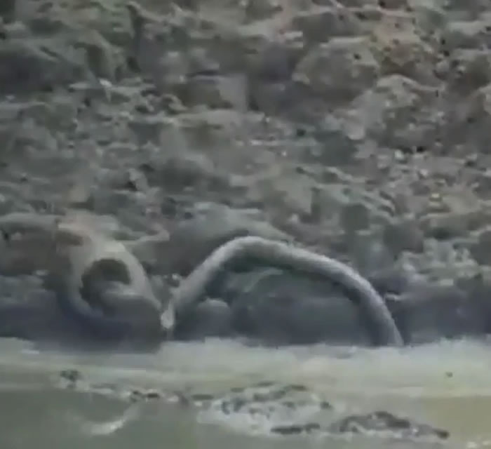 ӡ��������ʩ����������Ǳ����ˮ�ӵײ���ɱ����ˮ��С¹