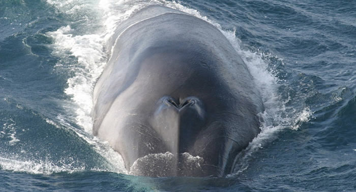 ����˹̹����ѧ����ѧ���״γɹ��ز��Ե��������Ķ������������������Ƶ��