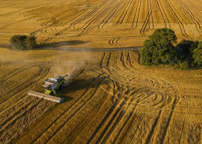 �����ǿ�������Դ�о�������2040��ˮ��Դ��ȱ��Σ��ȫ��40%���ũ���� �����ʳΣ��