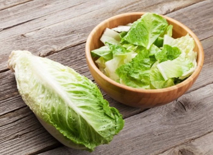 ʳ�����������ٵ��´󳦸˾����� ����16��������40��Ⱦ��