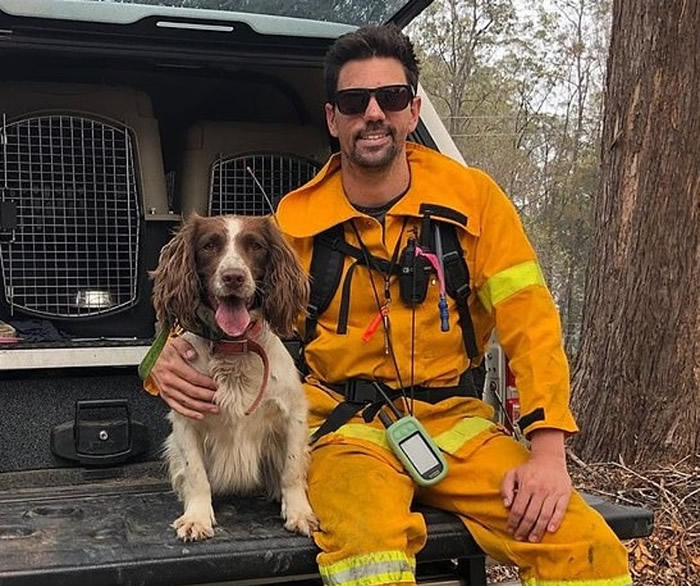 泰勒及其训练员泰特救出多只树熊。