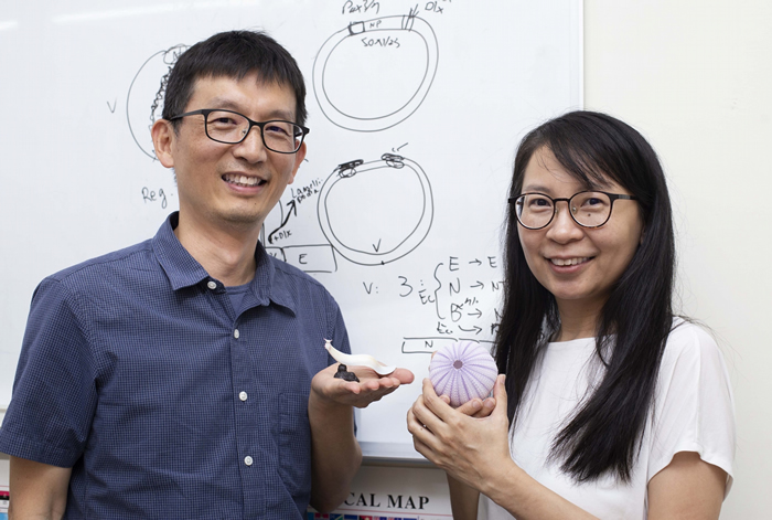 苏怡璇和游智凯是一对夫妻研究员, 苏怡璇研究海胆,游智凯研究文昌鱼,这次合作亲缘相近的玉柱虫,揭开脊索动物腹背翻转之谜。 平常两人常常带着研究团队进行读书会,研