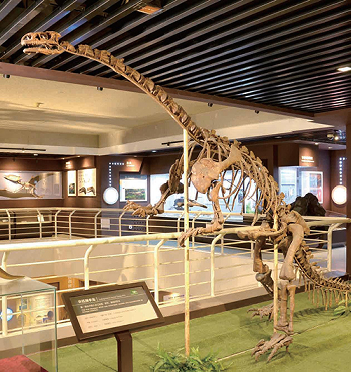 йŶݾٰ조90չ19292019