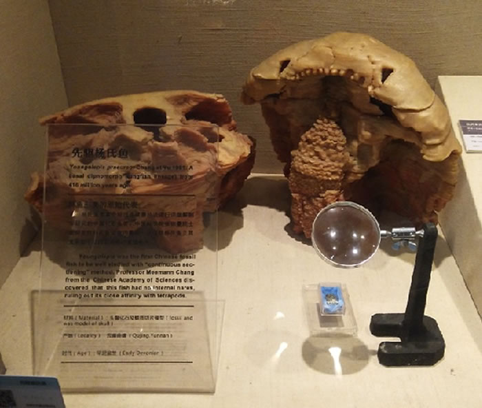 йŶݾٰ조90չ19292019