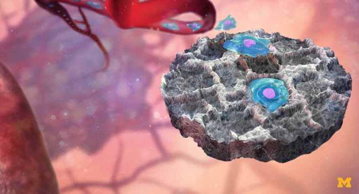 吸烟、超重以及酗酒是导致癌症发生的主要原因