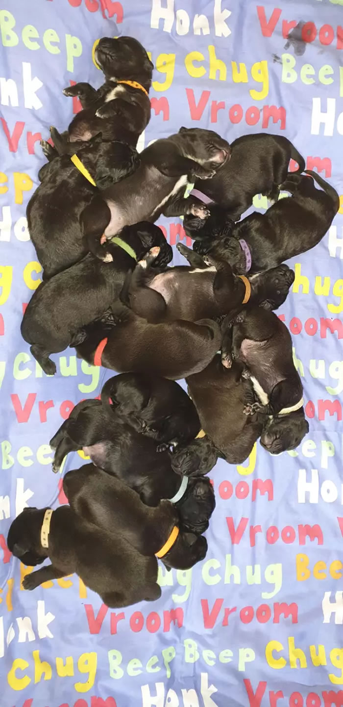 ӢһֻȮţȮĻֹMary Jane21ֻµ¼