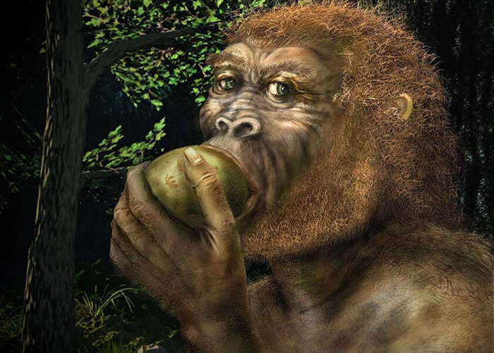 英国埃克塞特大学科学家:适应酒精曾使人类的祖先免于灭绝