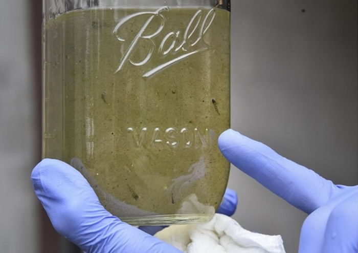 ձоŶڸԿз־ϩ۱ϩ΢ܽ к