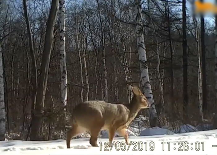 �����������ҹ�԰�״��ĵ���ϡ���֡�⯡�