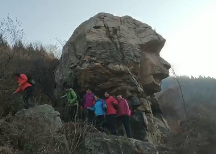 山东济南惊现狮身人面像 荒山“网红石”成打卡热点