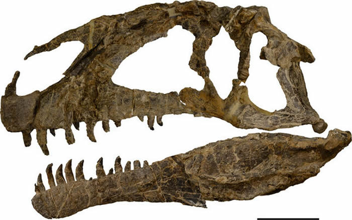 ����͢���������ǰ���·�·���1.68��ǰ�������±��ס���Asfaltovenator vialidadi