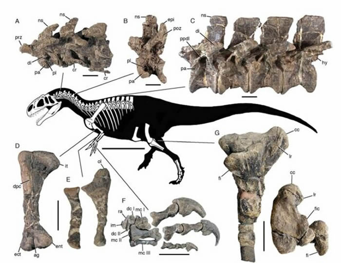 ����͢���������ǰ���·�·���1.68��ǰ�������±��ס���Asfaltovenator vialidadi