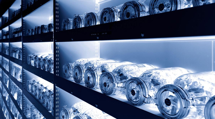 位于基尤皇家植物园里的千禧年种子库。 PHOTOGRAPH COURTESY ROYAL BOTANIC GARDENS, KEW