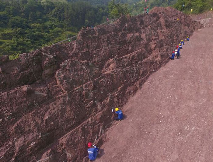 重庆云阳新田沟组发现新恐龙动物群 命名两个恐龙新属种:普安云阳龙、磨刀溪三峡龙