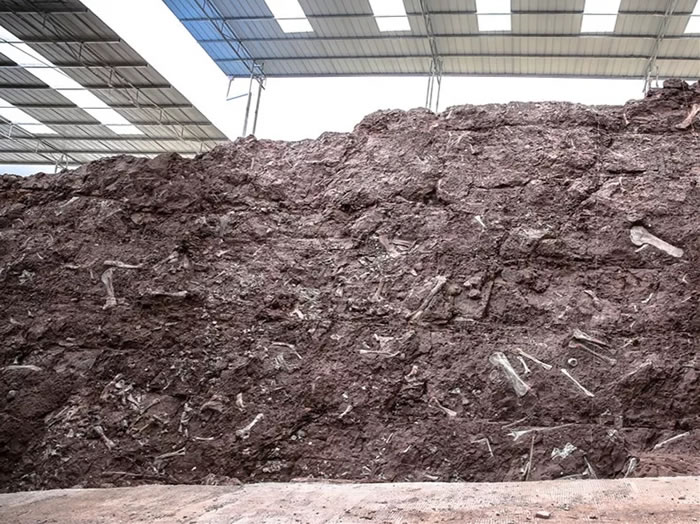 重庆云阳新田沟组发现新恐龙动物群 命名两个恐龙新属种:普安云阳龙、磨刀溪三峡龙