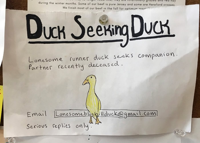 ĸѼɥ�����Ʋ��� �������������Ӻ���Ѱ��Ѽ����