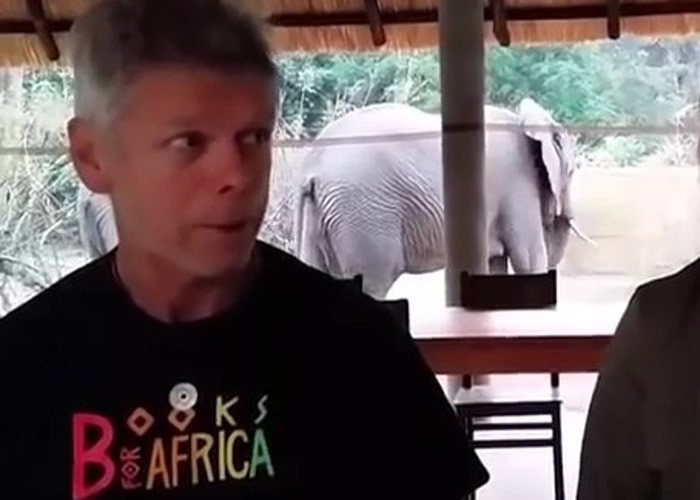 有游客说:“我们不动,它们就看不到我们。”