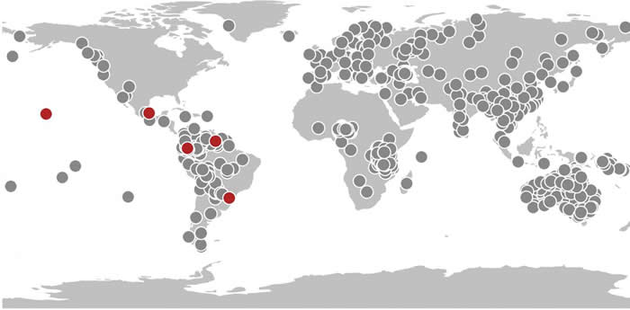 情感的含义:文化与生物演化影响人类的感受