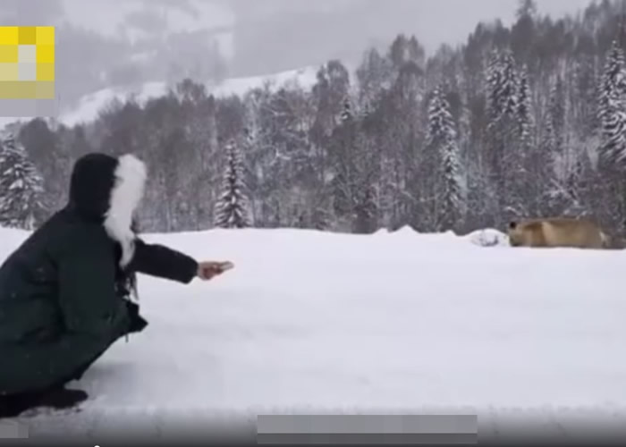 黑龙江漠河市“火狐狸”短片爆红被揭造假 官媒道歉:核实不够严谨