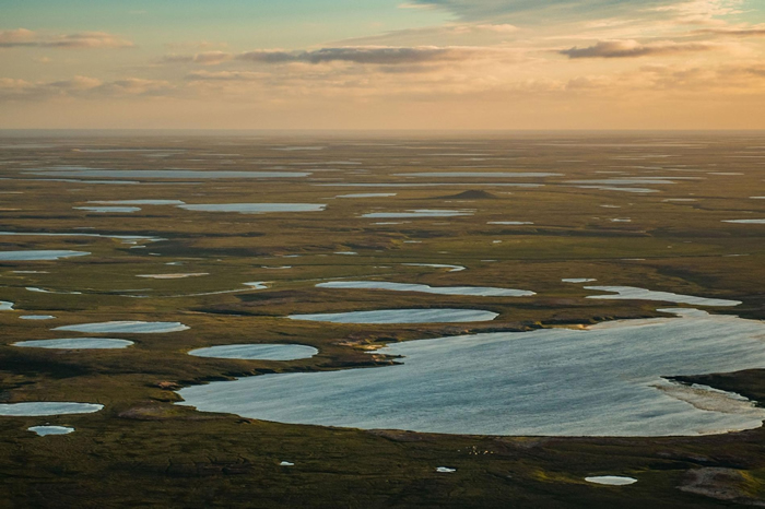 俄罗斯西伯利亚西北部潮湿的雅马尔半岛上散布着北极冻原的湖泊。 PHOTOGRAPH BY JEFFREY KERBY