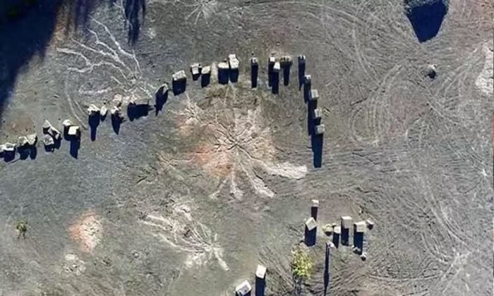 距今3.86亿年!美国纽约州砂石场发现全球最古老化石森林 从泥盆纪中期开始就存在