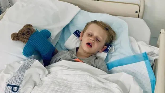 澳大利亚4.5m巨蛇试图把4岁小童拖到灌木丛里 爸爸拳头狂揍将大蛇打死