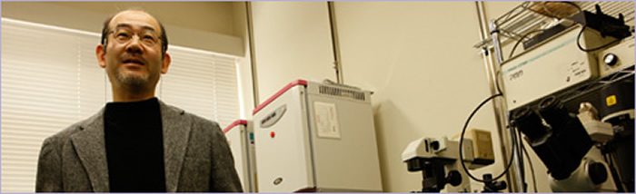 日本允许明治大学长岛比吕志教授团队在猪身上进行国内首个人类胰腺培育试验