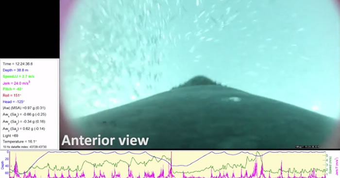 ��ͷ��������ƭ�ֶ���֪�������ؽӽ���Ⱥ