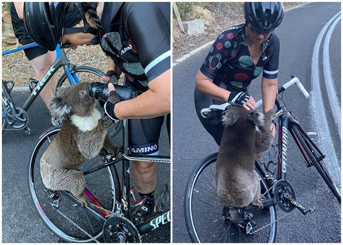 �����ϲ���������ɽ������·���롰��·�� �ڿ����ϵ�����ˮ