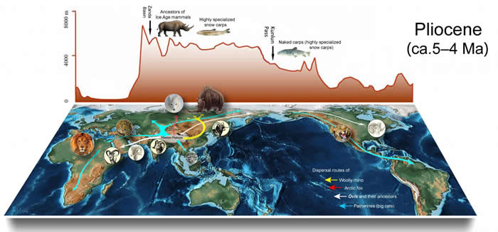 ���鶯�������Դ�����߳����ء���ģʽ