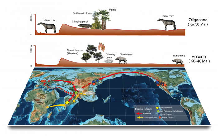 ��;�����ص������޼���ɢ��ģʽ, �Գ���������Ϊ��