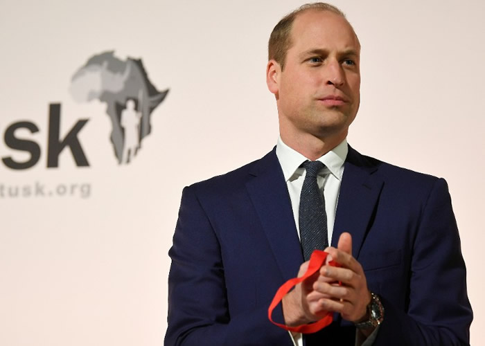 ���Ȼ����̲��ݻ���Ӣ���������������������޸����򽱡�