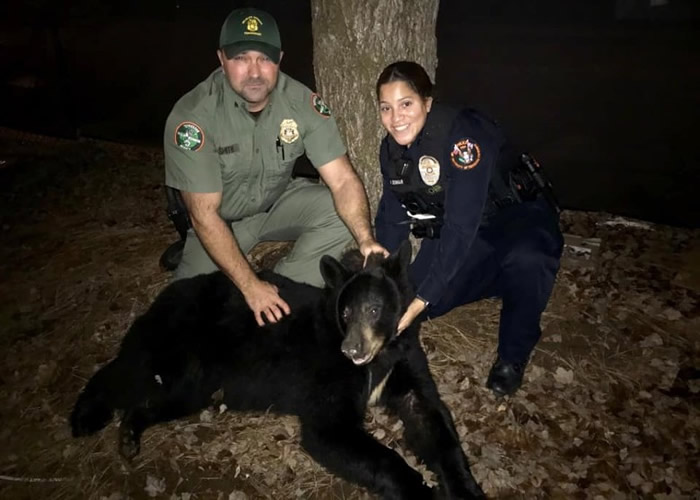 ������������ѧ�����ش�90����ľ޺��� ����Ա���ֲ���ȫ�ͷ�Ұ��