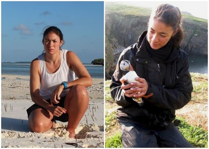 英国生物学家首次观察到海鸟使用工具来护理身体:角嘴海雀叼树枝戳自己身体