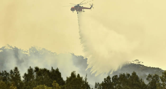 大约有5亿只鸟类、哺乳动物和爬行动物在澳大利亚正在遭遇的森林火灾中丧生