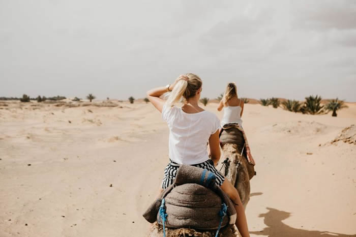 阿亚拉就骑骆驼意外向TripAdvisor提告;图非事主。(Getty Images图片)