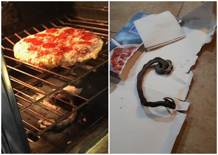 美国北卡罗莱纳州家庭焗炉焗薄饼焗出“脆皮蛇”