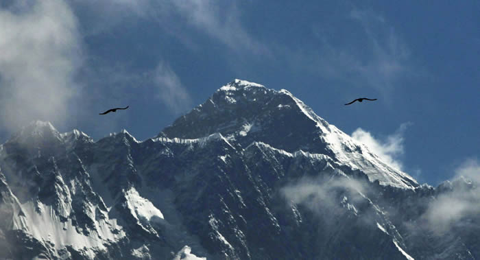 全球变暖!气候学家发现珠穆朗玛峰上有植被覆盖