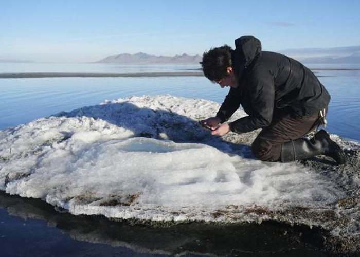 ���������ݴ��κ�����â���� ��Ϊ�о������β��ṩ��Ҫ����