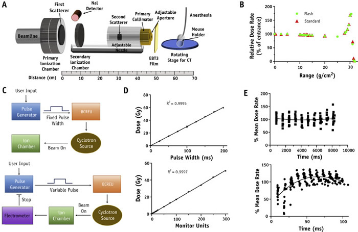 �°�֢�Ʒ�������һ���������Ϊ�����ܵķ������ƹ���