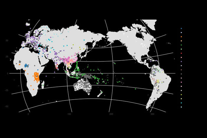 马克斯普朗克人类历史科学研究所发布最新版本的跨语言共词化数据库CLICS