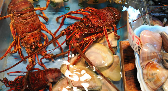 《无脊椎动物病理学杂志》:找到消灭牡蛎寄生虫的“银色杀手”