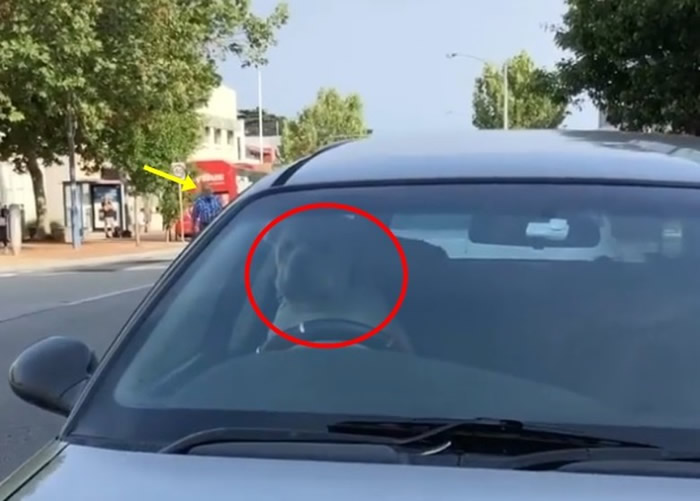 ɳƤ������Ȧ������˾��λ�ϰ������ȣ������ˣ��Ƽ��죩�Ӻ�Ҵ��߻�����