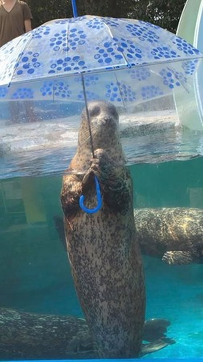 �������ݳ�ɡ�����˵���Σ�����ձ��㴨�ظ����С����ݵ�ˮ��ݡ�