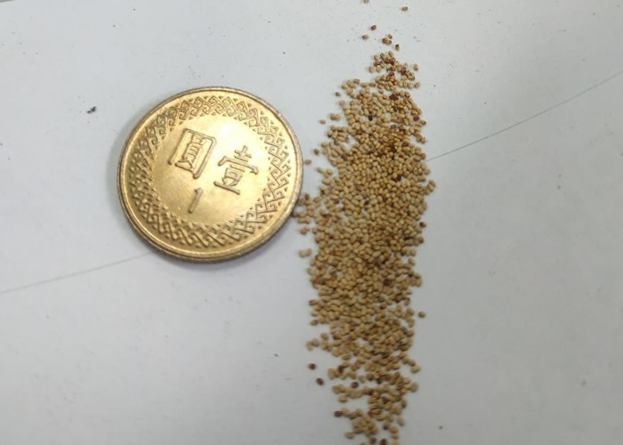 ̨FacebookϹ繫桱ƬƼгִ֥ 񣺰й