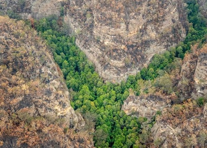 �����������ֿ�׷����٪�޼�ʱ�ڡ�