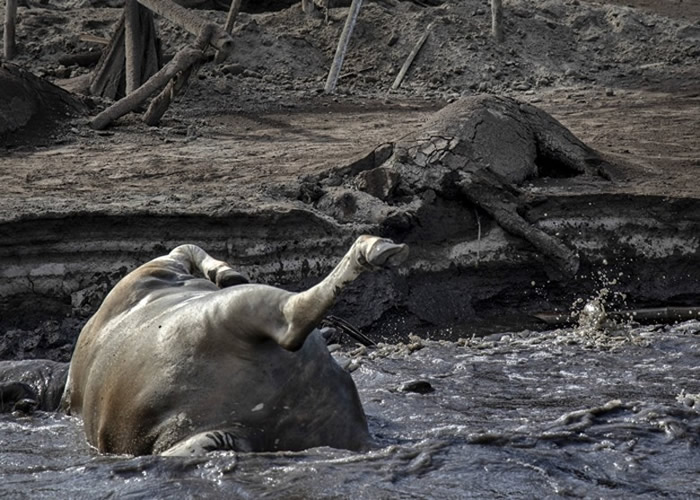 ���ɱ���������ɽ΢���緢 ��ٴε����µ���