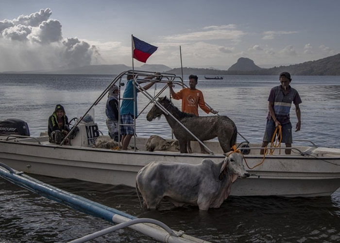 ���ɱ���������ɽ΢���緢 ��ٴε����µ���